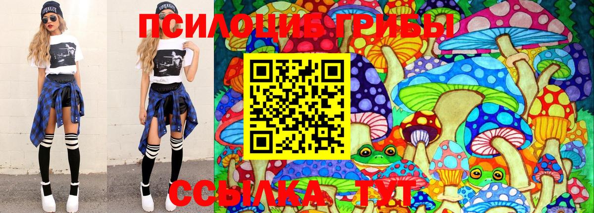 Псилоцибиновые грибы MAGIC MUSHROOMS  Псилоцибиновые грибы мухоморы  Тольятти  Вход с VPN 