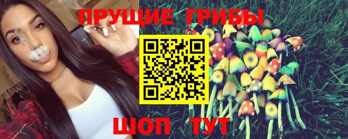 Галлюциногенные грибы GOLDEN TEACHER Тольятти